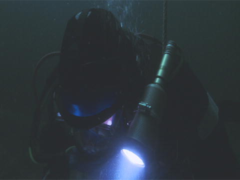 Gold Divers - Under the Ice: Kognitive funktioner fejler
