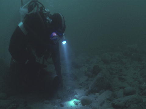 Gold Divers - Under the Ice: Lad der blive lys