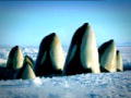 Frozen Planet