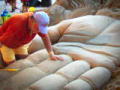 Sand Masters - New Series