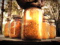 Gold Rush - New Season